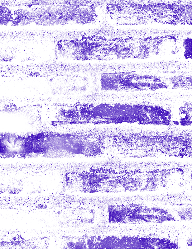 Sciana